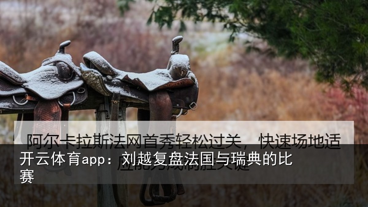 开云体育app:刘越复盘法国与瑞典的比赛